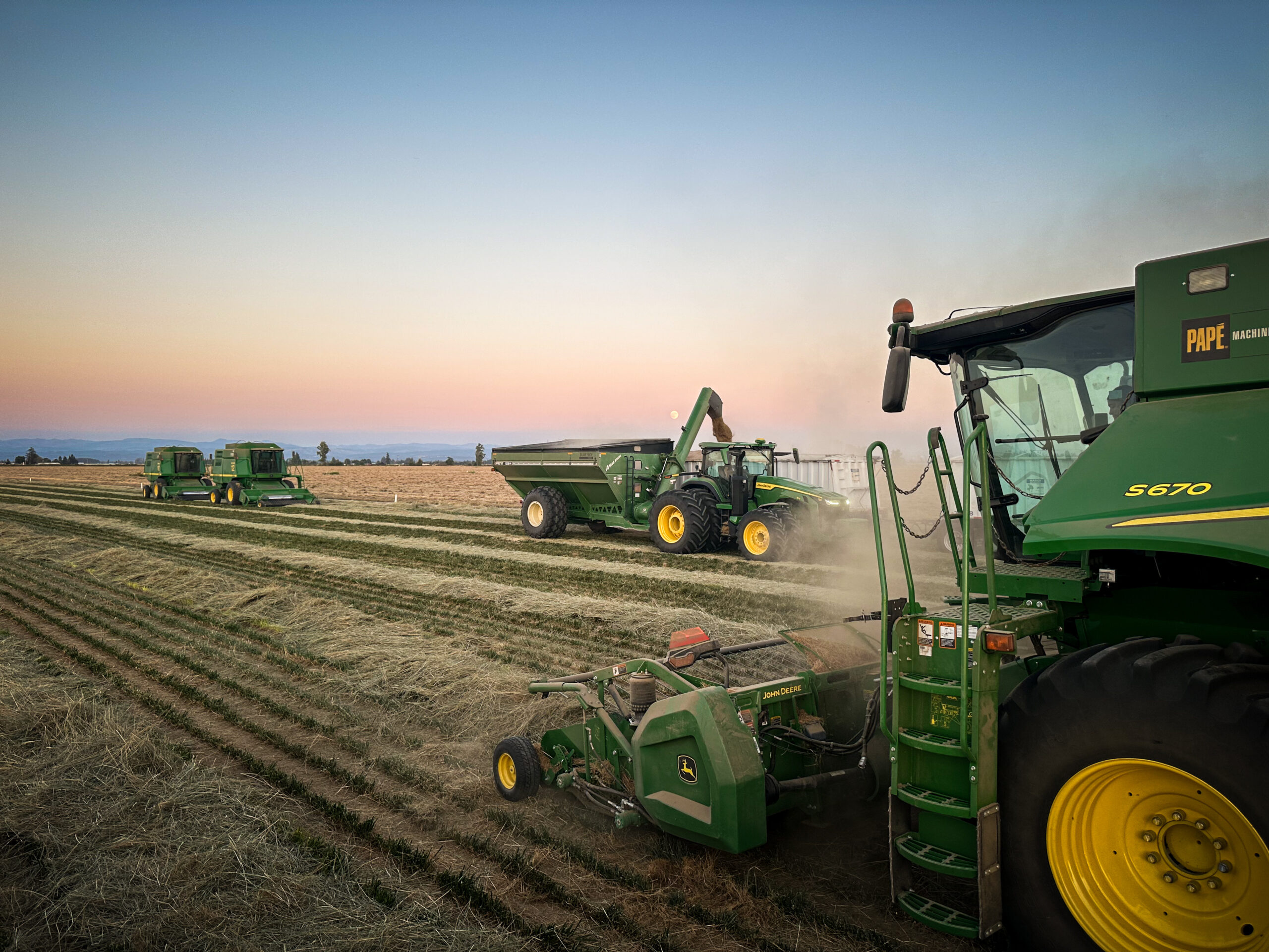 How Much Grass Seed Do I Need?
